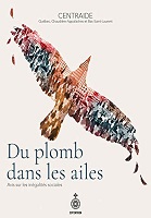 Du plomb dans les ailes : avis sur les inégalités sociales