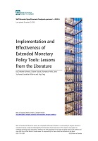 Implementation and Effectiveness of Extended Monetary Policy Tools: Lessons from Literature