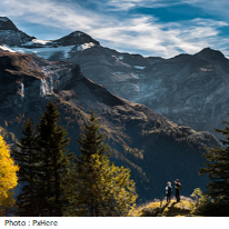 Randonneurs dans une forêt regardant des montagnes