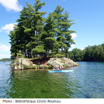 Petite île avec sapins et une personne qui fait du kayak en premier plan