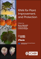 RNAi for Plant Improvement and Protection